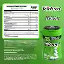 Trident Chicle Sin Azúcar Botella Sabor Yerbabuena