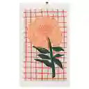 Paño Cocina de Algodón Velour Estampado Cuadros Casaideas