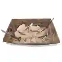 Dinosaurio Velociraptor Excava