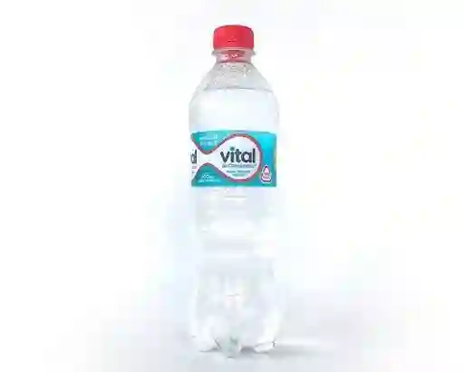 Vital Con Gas 500 ml