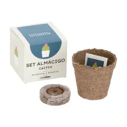 Set de Almácigo Para Cactus Casaideas