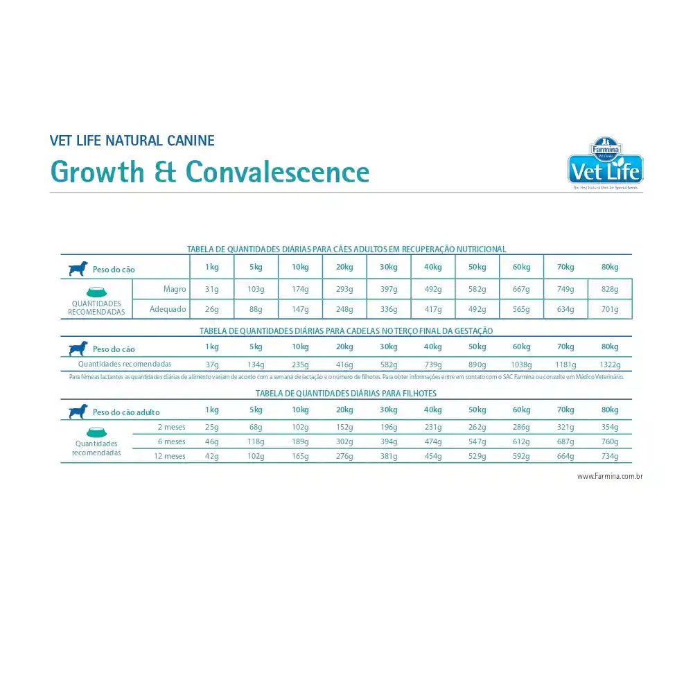 Vet Life Alimento para Perro Growth & Convalescence