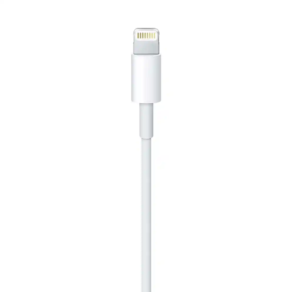 Apple Cable Lightning To Usb 1mt.