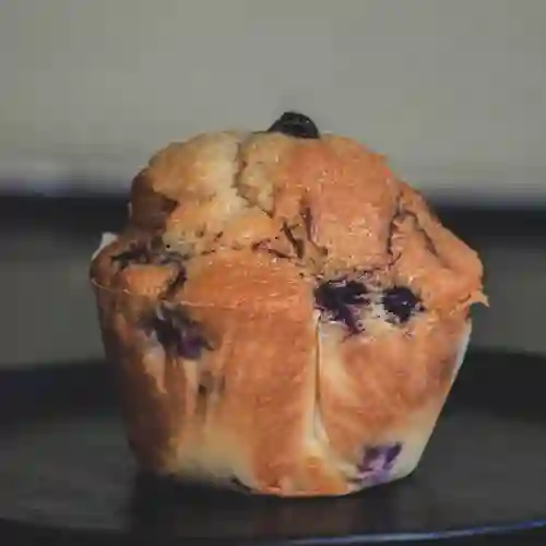 Muffin Arándano