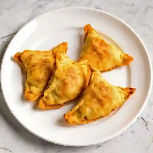 Gyozas Fritas de Verduras y Pollo