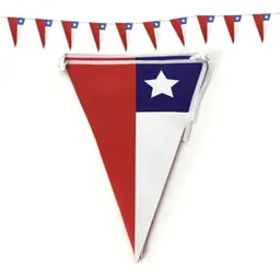 Guirnalda Banderines Chile 3 m