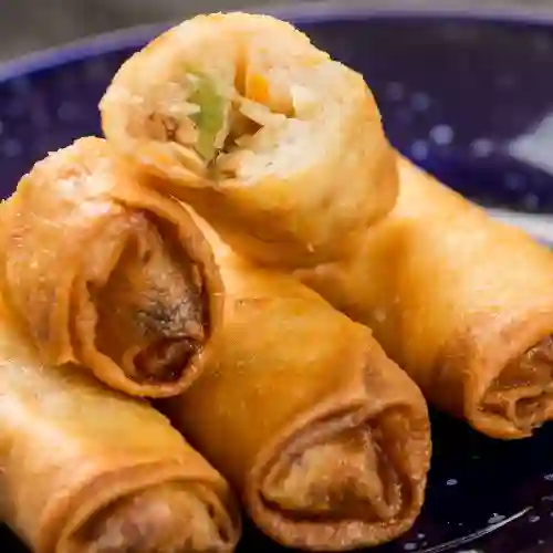 Arrollado Primavera X5