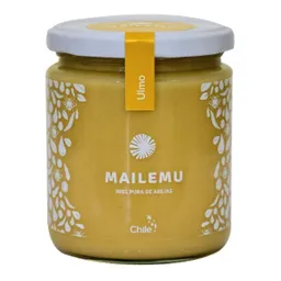 Mailemu Miel Pura de Abejas Ulmo