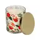 Vela Vainilla Mango Con Contendor de Cerámica 8 x 9 cm Casaideas