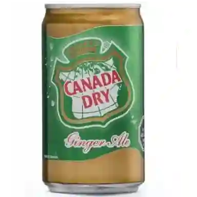 Canada Dry Ginger Ale 310ml