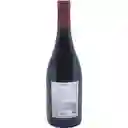 Balduzzi Viejo Encachao Gran Reserva Carignan