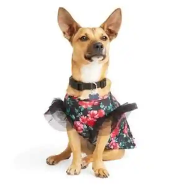 Youly Polera Con Estampado Floral Para Perro Chico