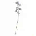 Flor Silvestre 10 x 51 cm 3119227000063