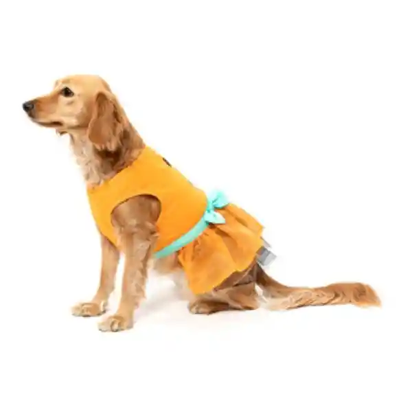 Bootique Vestido  Perro Con Estampado de Calabaza XX-Chico