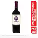 Vino Aliwen Cabernet/carmenere 13.5° 750 C.c.