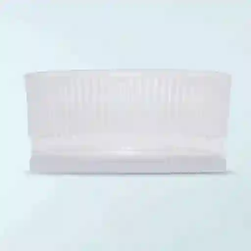 Bowl Vidrio Transparente Black Ripley Home