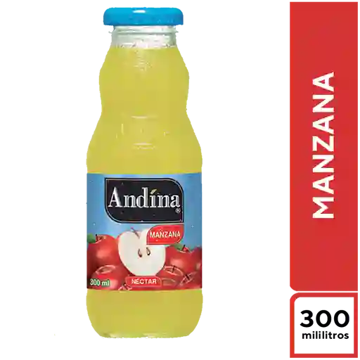 Andina Manzana 300 ml