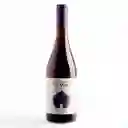 Montgras Vino Tinto Reserva Pinot Noir