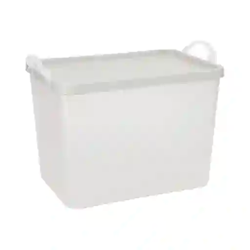Caja Plástica Con Tapa 5.5 L