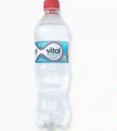 Agua Vital