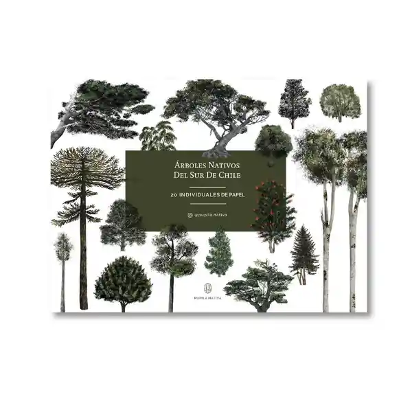 Individual de Árboles Nativos Del Sur de Chile Ilustrados