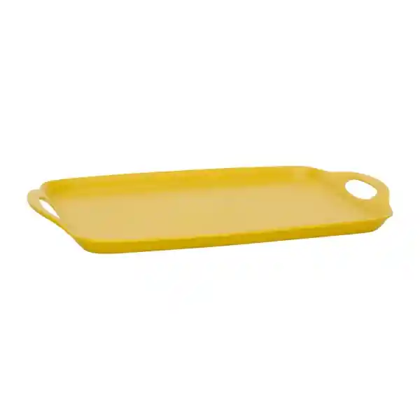 Bandeja Color Mate 40 x 25.7 x 2.8 cm 3205662000383