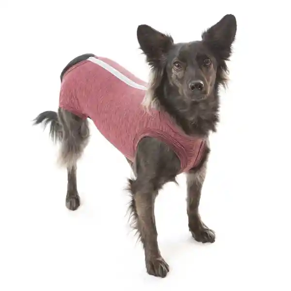 Petmed Body Quirúrgico Perro Rosado Talla 00