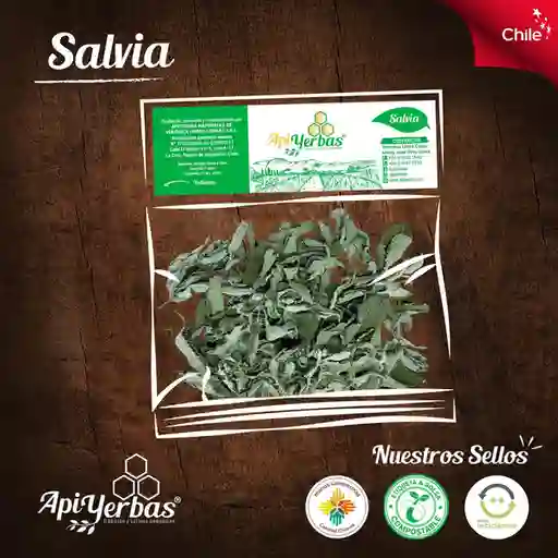 Apiyerbas Salvia