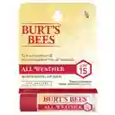 Burt's Bees: balsamo labial con oxido de zinc y spf 15