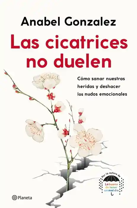 Las Cicatrices no Duelen