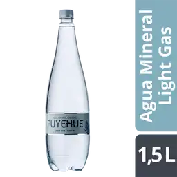 Puyehue Agua Mineral con Gas