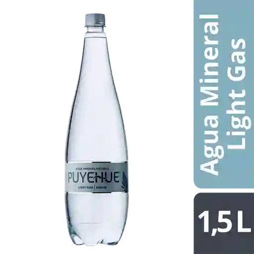 Puyehue Agua Mineral con Gas