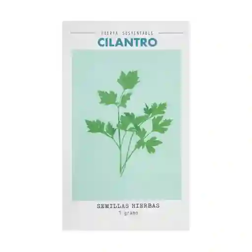 Cilantro Semilla de Hierbas