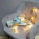 Guirnalda 5 10L-165Cm