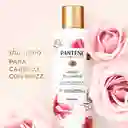 Pantene Shampoo Frizz Control Rose