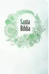 Biblia Letra Grande Banco Verde