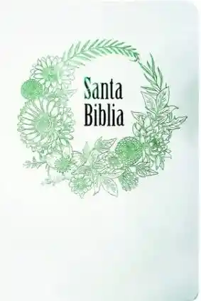 Biblia Letra Grande Banco Verde