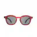 Lentes de Sol Thom Winered Inztinto