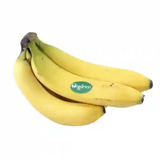 Plátano Orgánico Granel