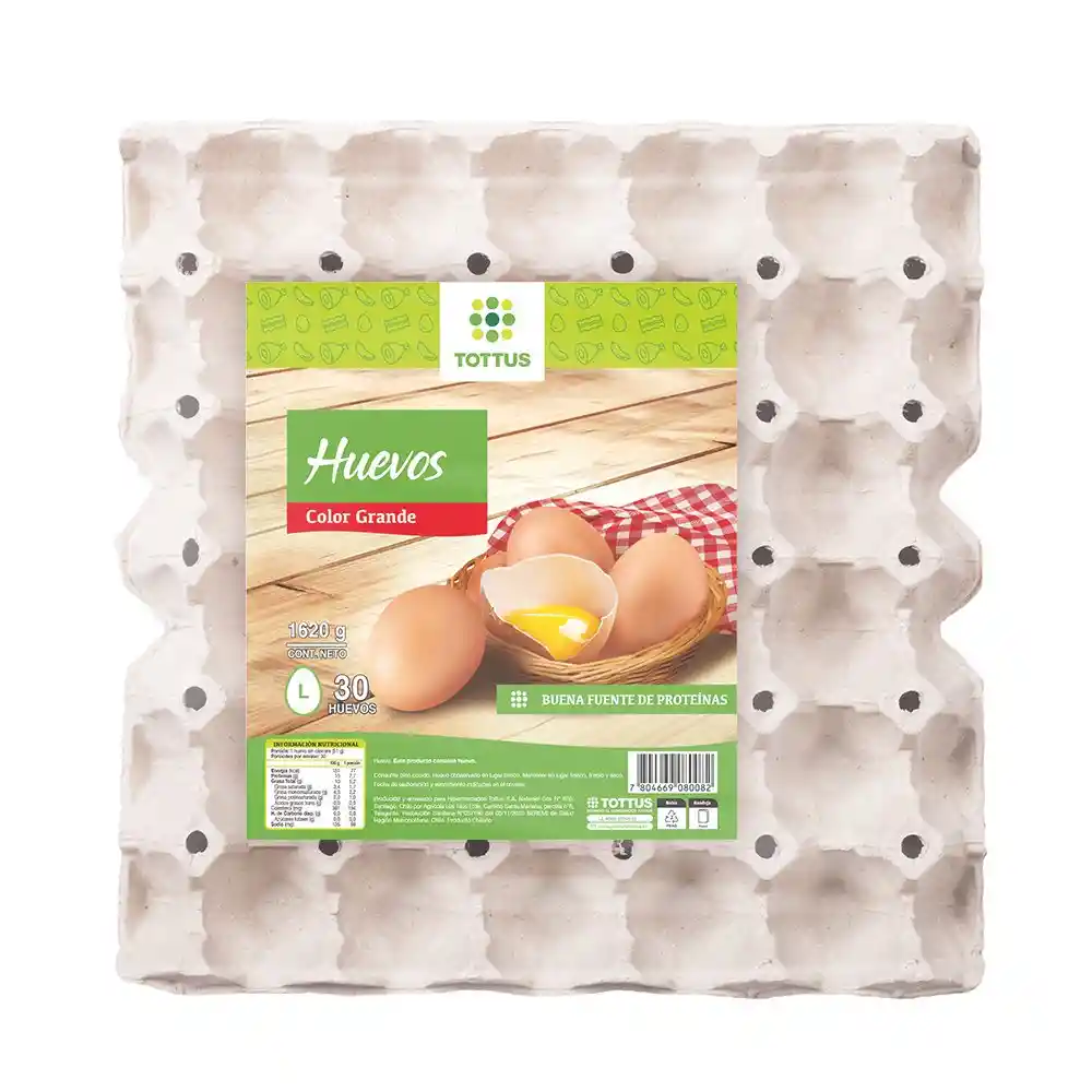 Huevos Grandes de Color Tottus