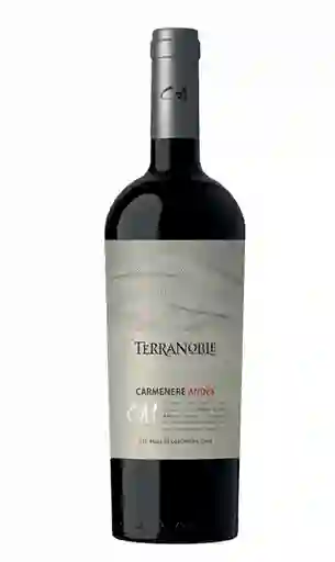 Terranoble Viña Andes Premium Ca1 Carmenere