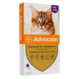 Advocate (10% / 1%)