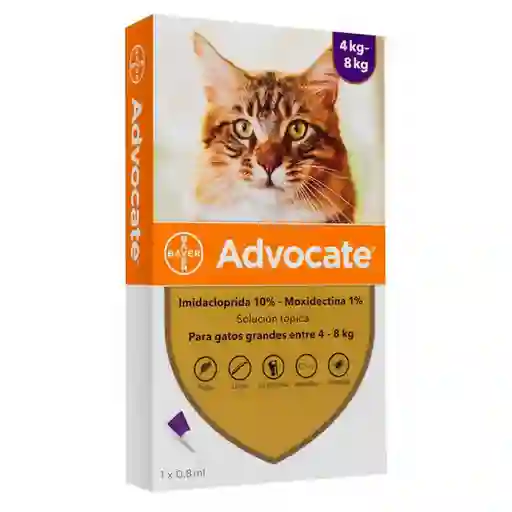 Advocate (10% / 1%)