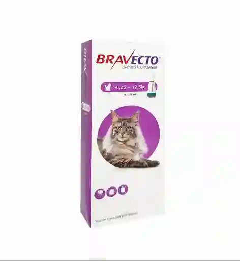 Bravecto Antiparasitario Para Gato de 6.25 a 12.5 Kg 1.79 mL