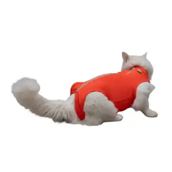 Body Antimicrobial Cat Talla 2