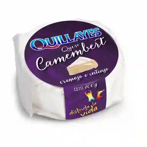 Quillayes Queso Camembert