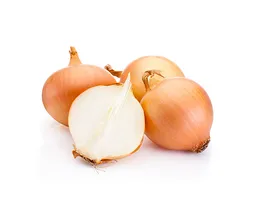 Cebolla