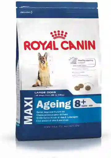Royal Canin Alimento Para Perro Maxi Ageing +8 Años