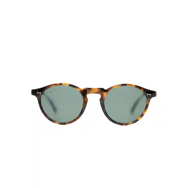 Lentes de Sol Clint Tortoise Inztinto