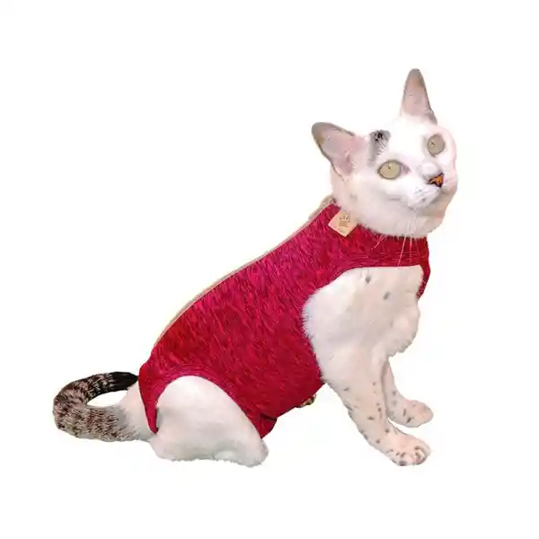 Petmed Body Quirúrgico Gato Rosado Talla 01